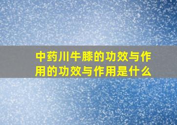 中药川牛膝的功效与作用的功效与作用是什么