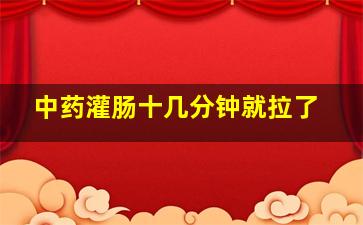 中药灌肠十几分钟就拉了