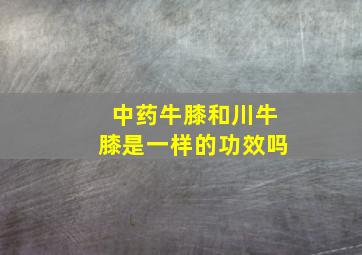 中药牛膝和川牛膝是一样的功效吗