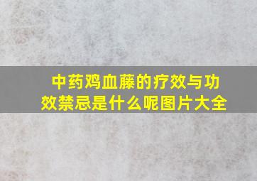 中药鸡血藤的疗效与功效禁忌是什么呢图片大全