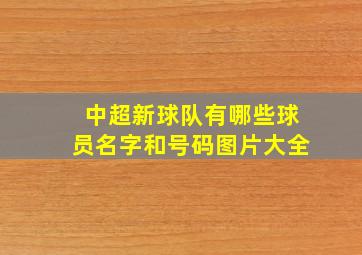 中超新球队有哪些球员名字和号码图片大全