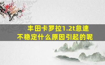 丰田卡罗拉1.2t怠速不稳定什么原因引起的呢