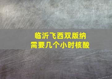 临沂飞西双版纳需要几个小时核酸