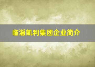 临淄凯利集团企业简介