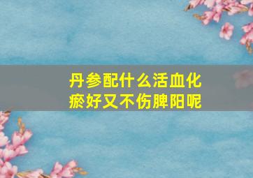 丹参配什么活血化瘀好又不伤脾阳呢