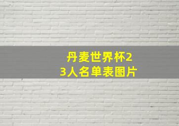 丹麦世界杯23人名单表图片