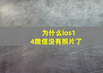 为什么ios14微信没有照片了