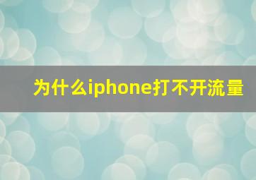 为什么iphone打不开流量