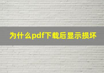 为什么pdf下载后显示损坏