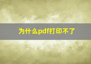 为什么pdf打印不了