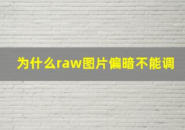 为什么raw图片偏暗不能调