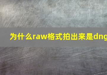 为什么raw格式拍出来是dng