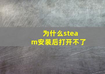 为什么steam安装后打开不了