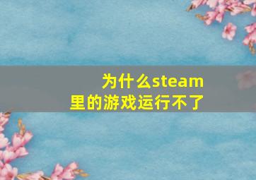 为什么steam里的游戏运行不了