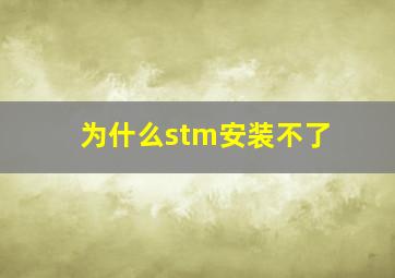 为什么stm安装不了