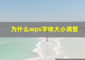 为什么wps字体大小调整