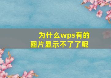 为什么wps有的图片显示不了了呢