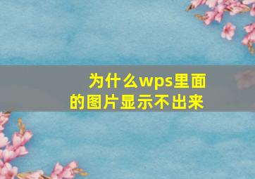 为什么wps里面的图片显示不出来