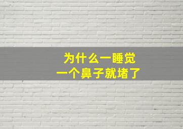 为什么一睡觉一个鼻子就堵了