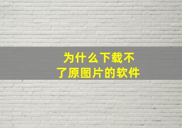 为什么下载不了原图片的软件