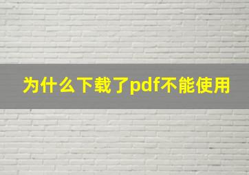 为什么下载了pdf不能使用