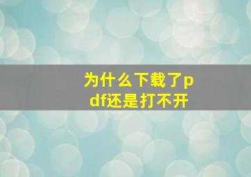 为什么下载了pdf还是打不开