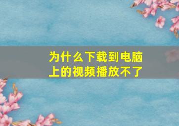 为什么下载到电脑上的视频播放不了