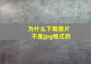 为什么下载图片不是jpg格式的