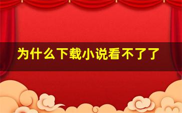 为什么下载小说看不了了