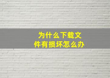 为什么下载文件有损坏怎么办