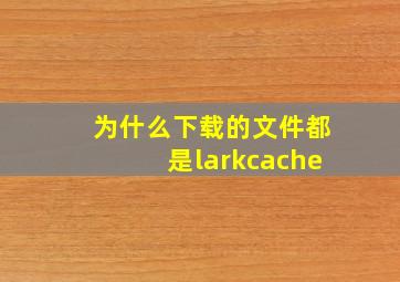 为什么下载的文件都是larkcache