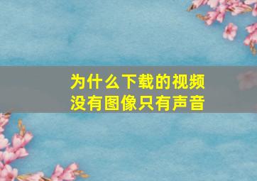 为什么下载的视频没有图像只有声音