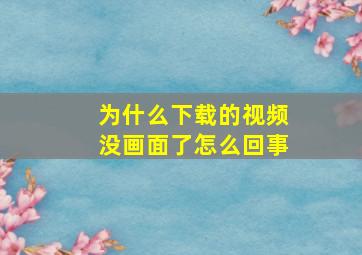 为什么下载的视频没画面了怎么回事