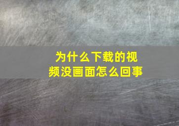 为什么下载的视频没画面怎么回事