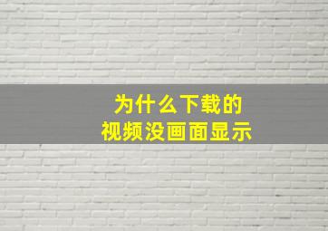 为什么下载的视频没画面显示