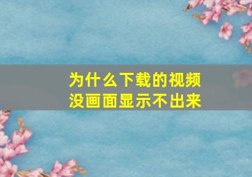 为什么下载的视频没画面显示不出来