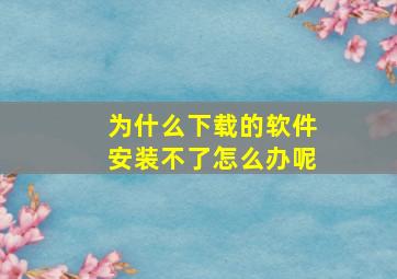 为什么下载的软件安装不了怎么办呢