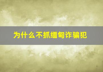 为什么不抓缅甸诈骗犯