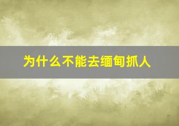 为什么不能去缅甸抓人