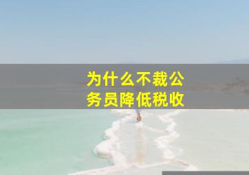 为什么不裁公务员降低税收