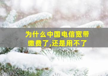 为什么中国电信宽带缴费了,还是用不了