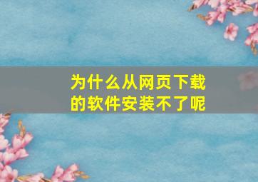 为什么从网页下载的软件安装不了呢