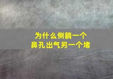 为什么侧躺一个鼻孔出气另一个堵