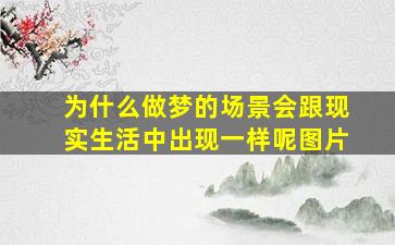 为什么做梦的场景会跟现实生活中出现一样呢图片