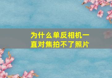 为什么单反相机一直对焦拍不了照片