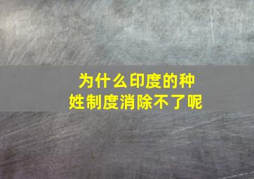 为什么印度的种姓制度消除不了呢