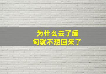 为什么去了缅甸就不想回来了