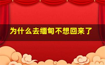 为什么去缅甸不想回来了