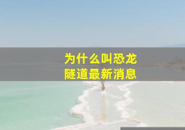 为什么叫恐龙隧道最新消息