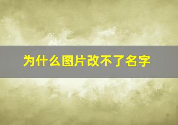 为什么图片改不了名字